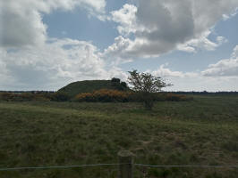 One of the mounds at Sutton Hoo.
