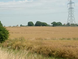  The towers of Clopton (on the left) & Burgh (on the right) across the fields from Grundisburgh.