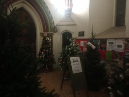Christmas trees at St Mary-le-Tower.