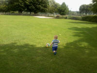 Alfie enjoying Kingston Fields.