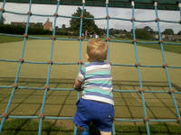 Alfie enjoying Kingston Fields.