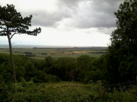 Views from Lympne.