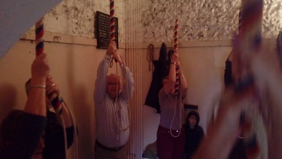 Ringing at Wilby on Pettistree Outing.