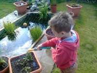 Mason watering the garden at Kates.