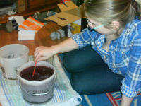 Wine making, day 6.