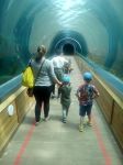 Ruthie and the boys at Colchester Zoo.