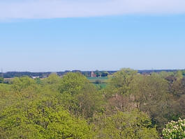 Little Bromley from the top of Great Bromley's tower.