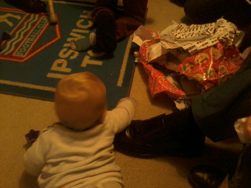 Alfie after the wrapping paper at ours on Boxing Day.