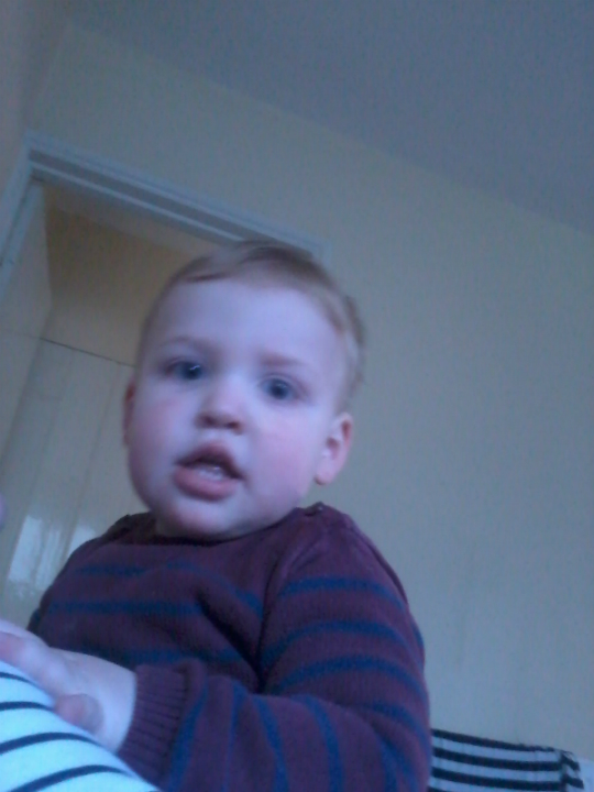 Alfie after his haircut.