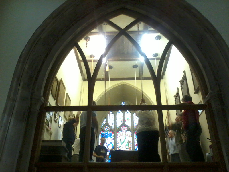 Ringing at Ardleigh on Pettistree outing.