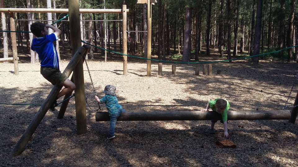 The boys enjoying Rendlesham Forest.