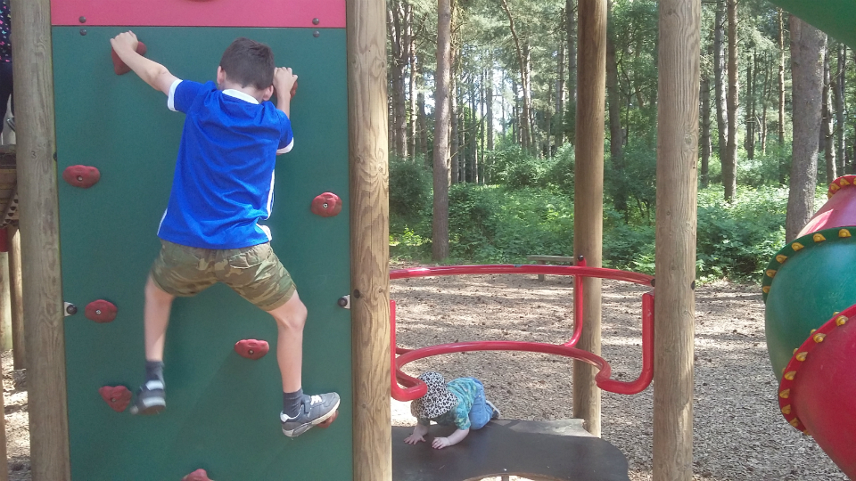 The boys enjoying Rendlesham Forest.