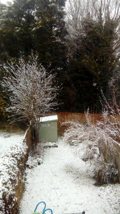 The view out of our window on a snowy morning.