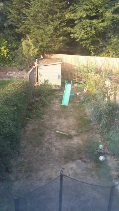 Our parched garden before the storm.