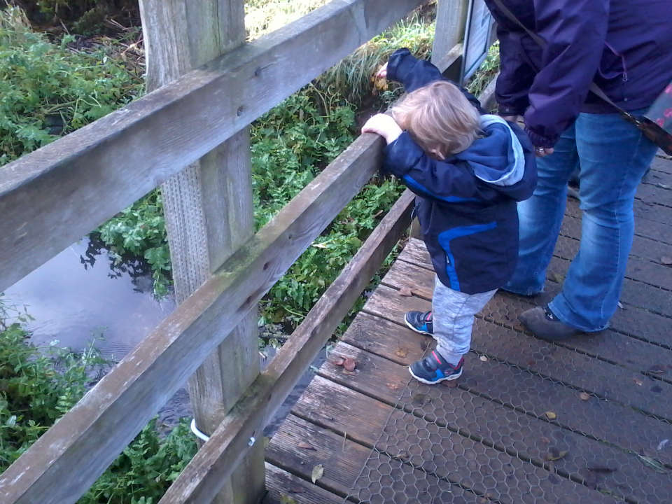 Fun at Sacrewell Farm.