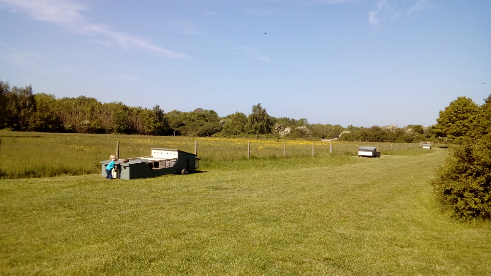 Our view from the front of our tent at breakfast this morning.