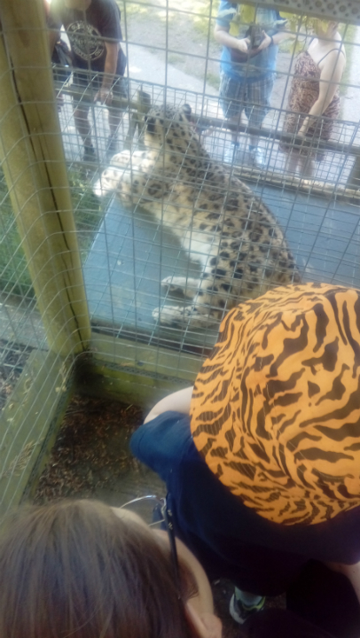 Taking in the animals at Thrigby Hall Wildlife Gardens.