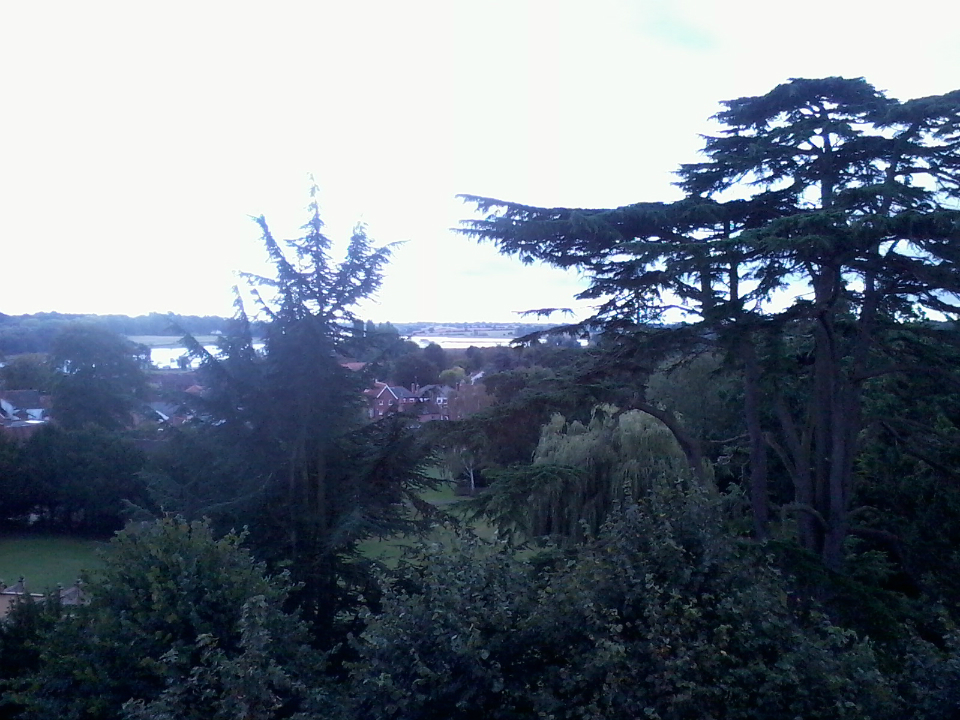 View from tower at Woodbridge.