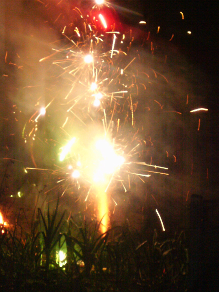 One of the fireworks.