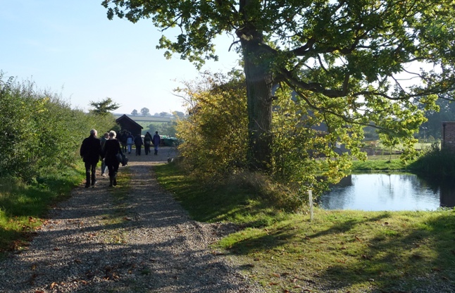 Debenham Ringers' Walk