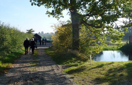 Debenham Ringers Walk October 2008