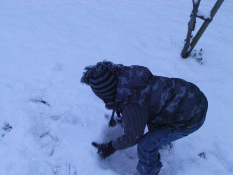 Mason rolls up a snowball for his snowman.