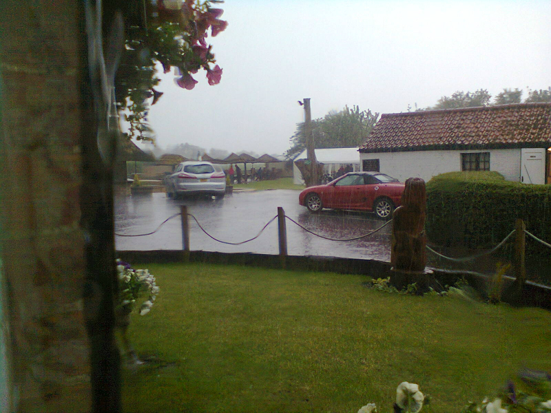 The Mermaid's garden in the sunshine...