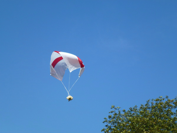 Sproughton Annual Teddy Bear Parachute Jump.