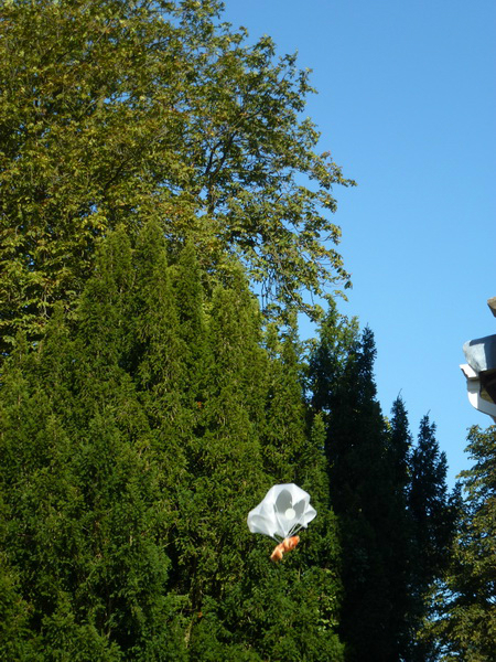 Sproughton Annual Teddy Bear Parachute Jump.
