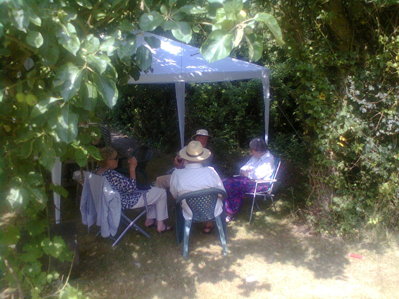 Relaxing in the shade.