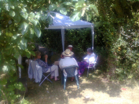  Relaxing in the shade.