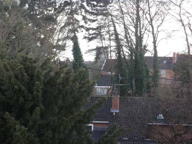 Woodbridge from our house.